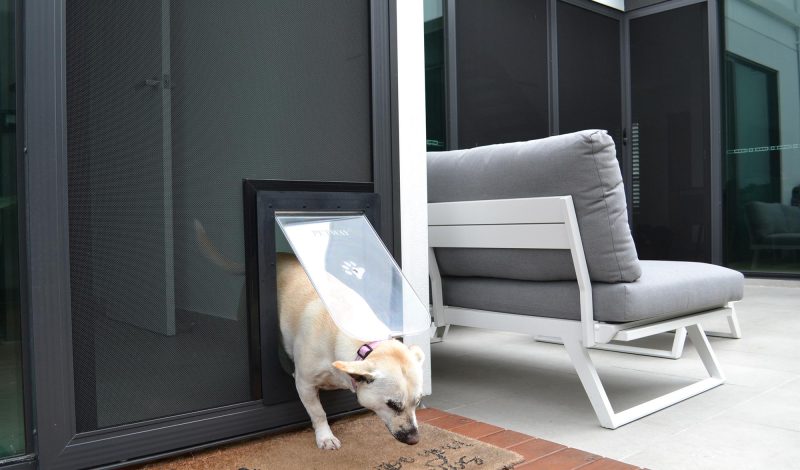 pet-friendly-screens-sunshine-coast3